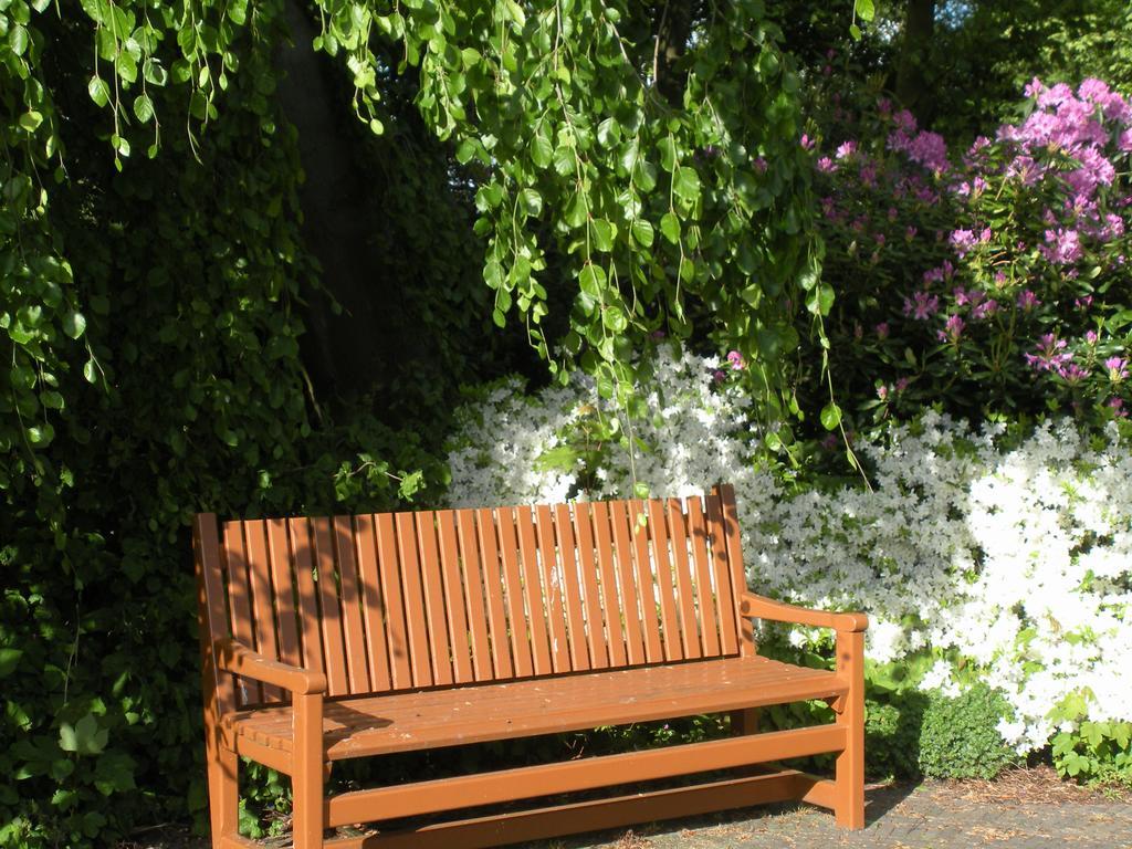 B&B Kasteel De Windt Nieuwkerken-Waas Εξωτερικό φωτογραφία